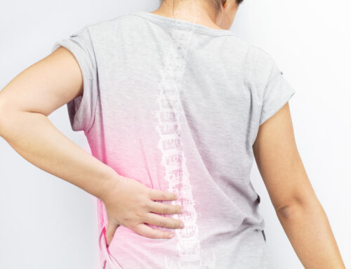 Spine